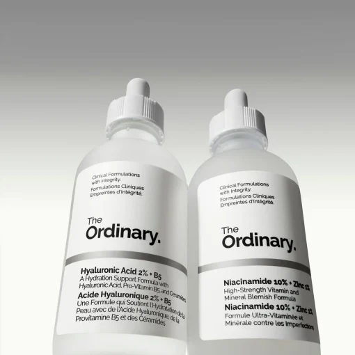The Ordinary The Skin Support Set (2 x 30mL) - Image 3